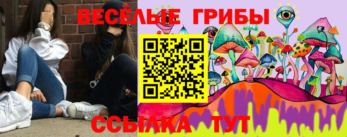 Павлово  Галлюциногенные грибы ЛСД  Вход с VPN 